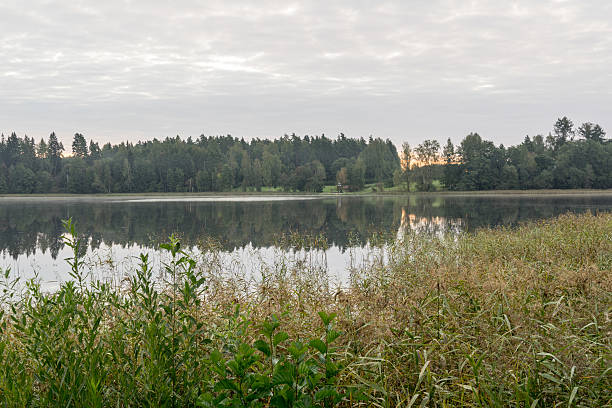 istock reflection of clouds in the lake with boardwalk 526920415