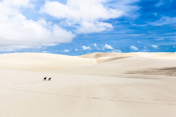 istock Lencois Maranhenses National Park 526920963