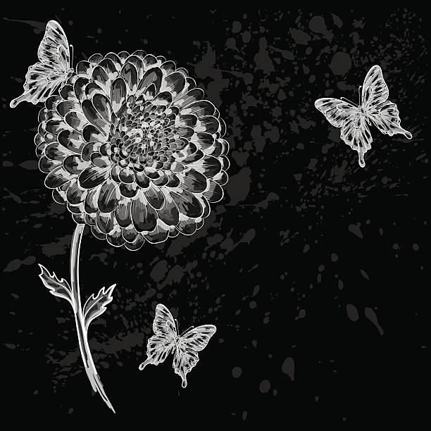 ilustrações de stock, clip art, desenhos animados e ícones de bela preto e branco flor com insectos. - butterfly single flower vector illustration and painting