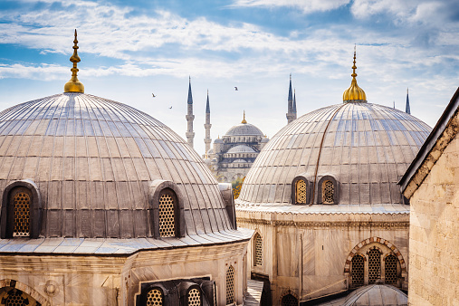Blue Mosque And Aya Sofya, Istanbul