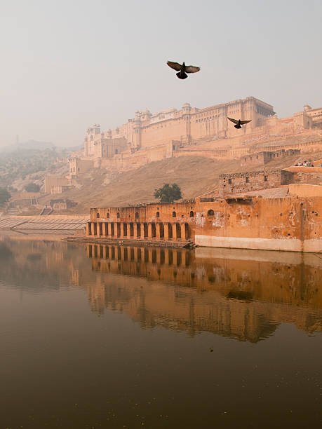 beautiful view of the Amber fort in Jaipur, India stock photo