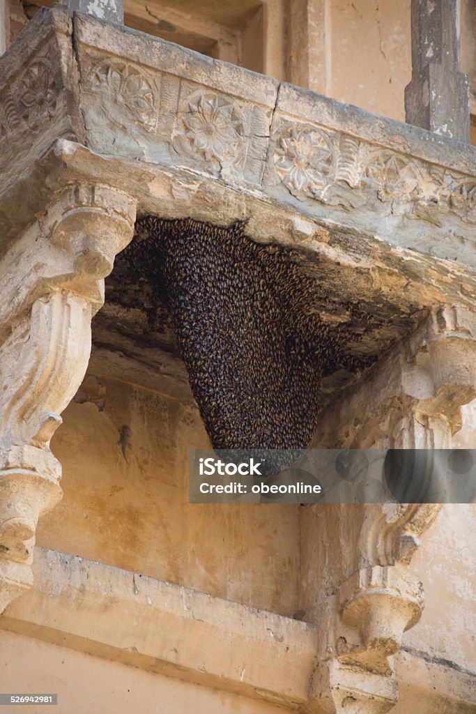 Nest of Wasps A menacing nest of wasps builds up on an old temple Animal Nest Stock Photo