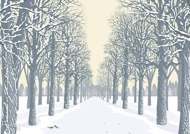 ilustraciones, imágenes clip art, dibujos animados e iconos de stock de día de invierno - avenue tree