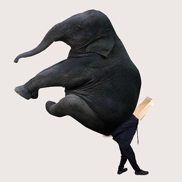 istock Anonymous businessperson with huge elephant 526945517