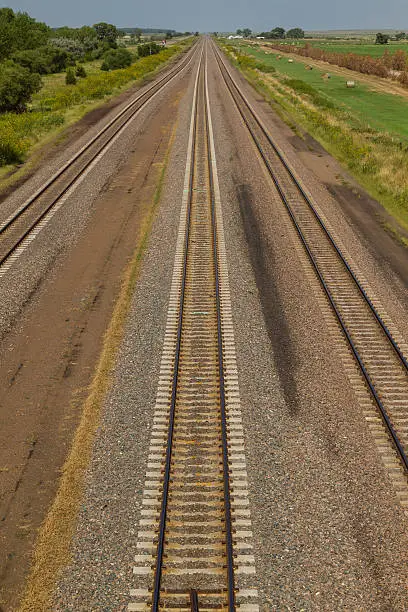 Three railway tracks leading to the horizon.
