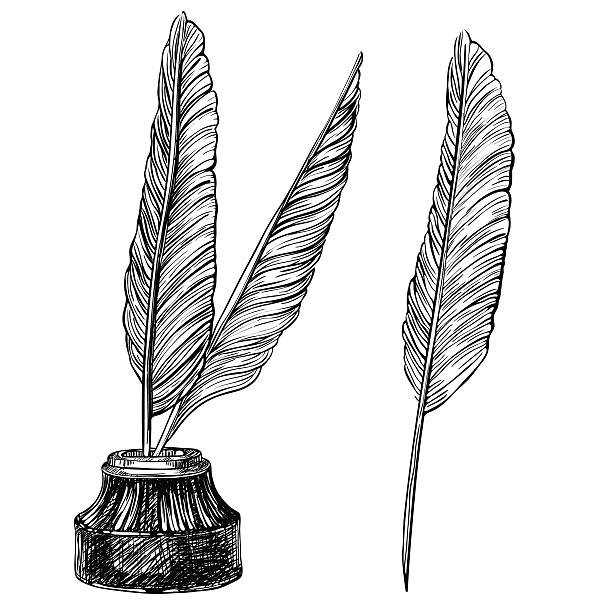 Quill Pens and inkwell Vector set of retro inkwell and quill feathers at engraving style.  ink well stock illustrations