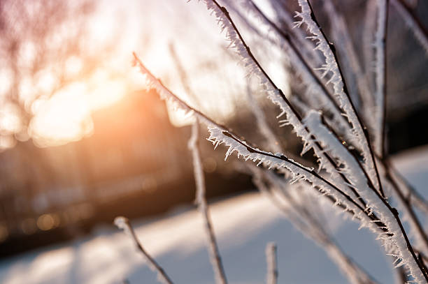 istock Beautiful winter nature at sunset 526949259
