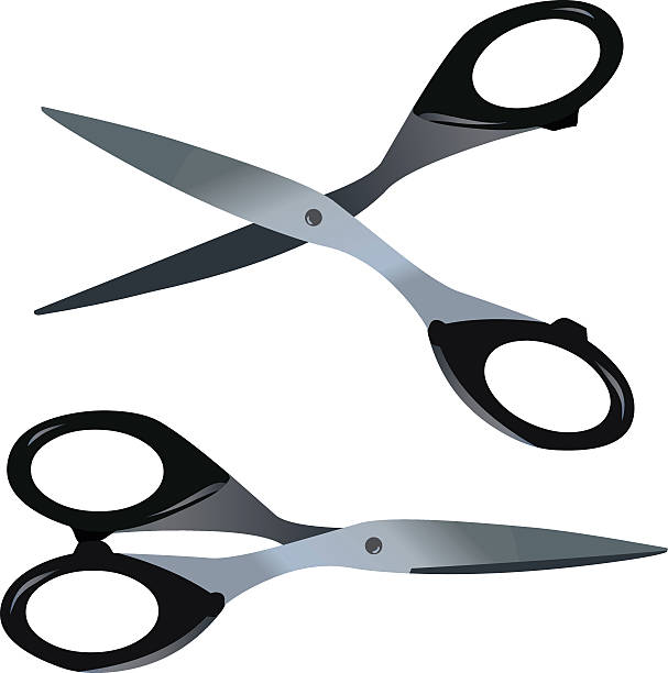 Scissors vector art illustration