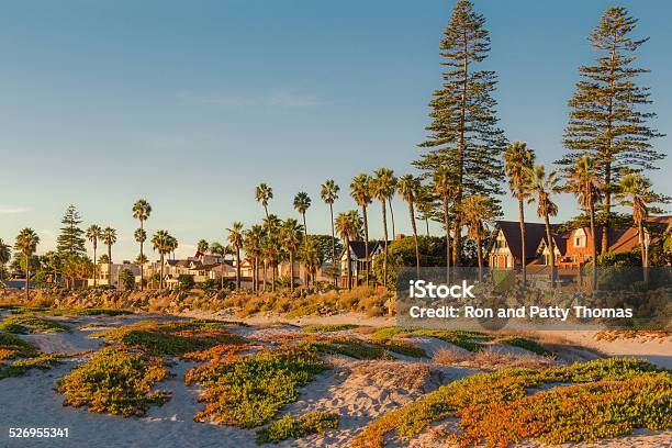 Coronado Island Beach Houses Sandy Beach Iceplant San Diego Stock Photo - Download Image Now