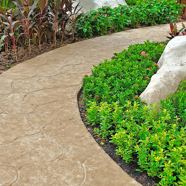 istock stone walkway in garden 526956267