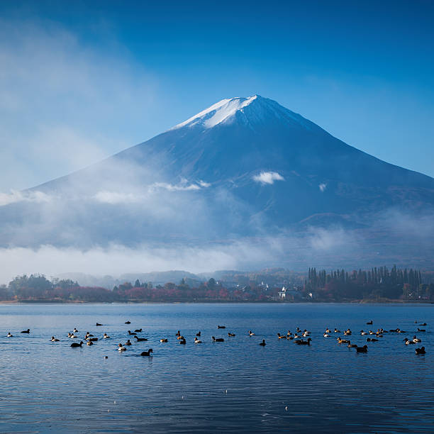 istock Mountain Fuji and Kawaguchiko lake 526956307