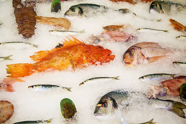 istock Fresh fish at the restaurant 526957371
