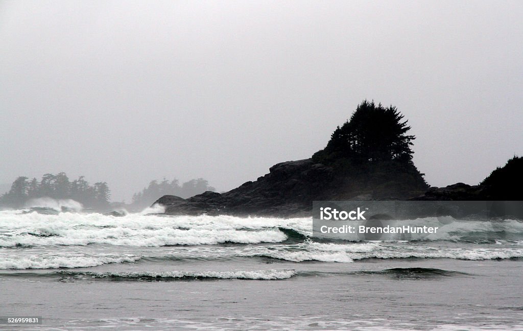 Storm Tossed Cox Bay beach, near Tofino, in British Columbia  Beach Stock Photo