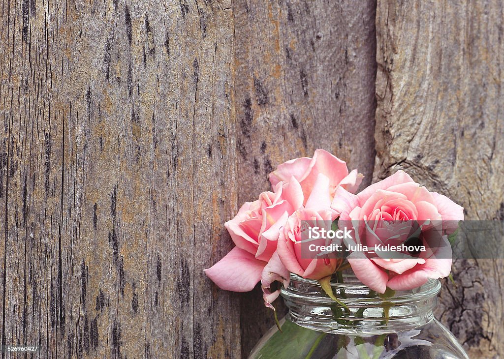 Pink roses Pink roses against a wood wall Art Stock Photo