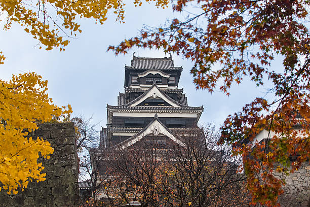 Kumamoto, Japan - November 30, 2014: Kumamoto Castle in Northern Kyushu is one of the biggest castle in Japan, and here is the landmark of Kumamoto province.