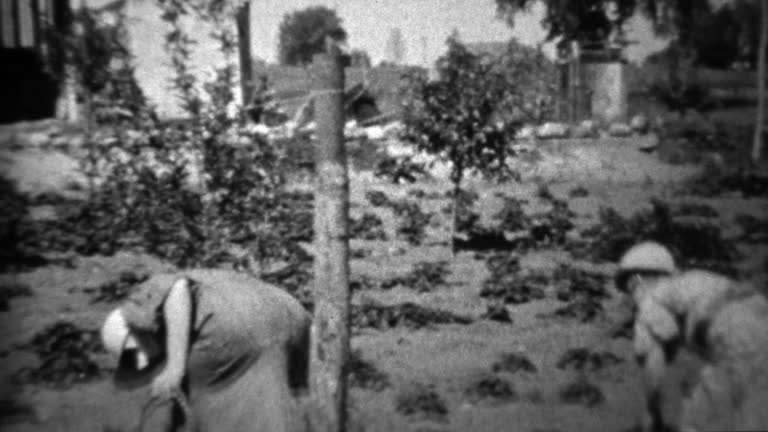 1934: Women harvesting garden during depression era food shortage.