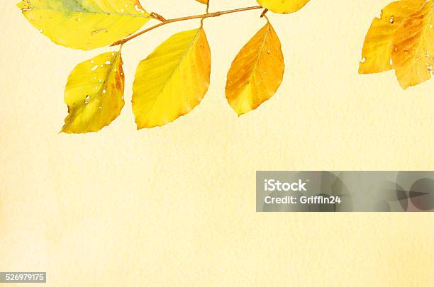 Beech Leaves Against Parchment Stock Photo - Download Image Now - Autumn, Beech Tree, Brown