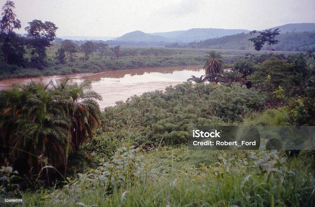 Papyrus Swamps along Red Nile or Aakagera River Rwanda Papyrus Swamps along Red Nile or Aakagera River Rwanda which is the boundary with Tanzania on the eastern border of Rwanda Akagera National Park Stock Photo