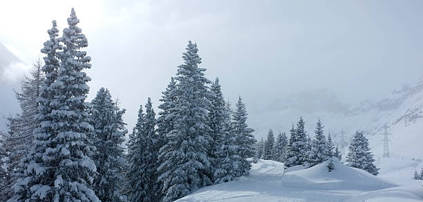 les alpes suisses du gemmi pass - gemmi photos et images de collection