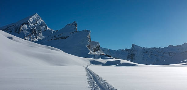 이 스위스 알프스 gemmi 산길 - gemmi 뉴스 사진 이미지