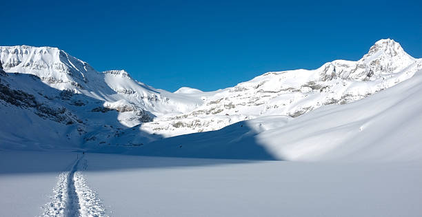 los alpes suizos del gemmi pass - gemmi fotografías e imágenes de stock