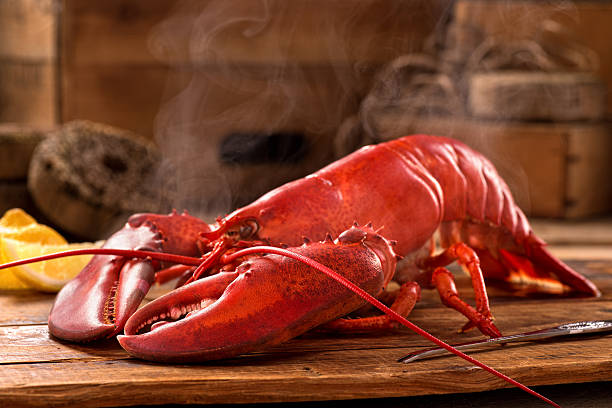 gotowany na parze lobster - steam steamed lemon food zdjęcia i obrazy z banku zdjęć