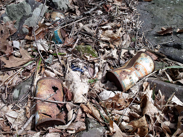 istock Leaves and Rusted Vintage Beer Cans 527009883