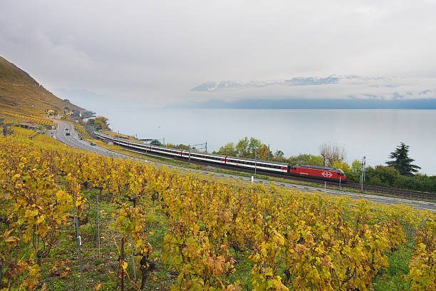 Voyage in Switzerland by train stock photo