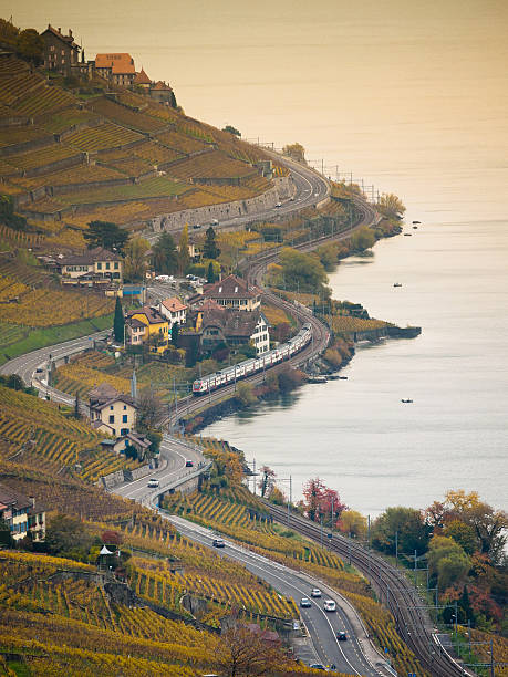 Epesses, Switzerland, November, 11, 2014 : A train running on the railway of the coast of Geneva Lake, near to famous Lavaux vineyard.