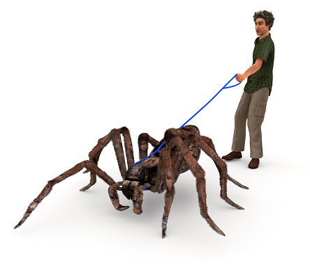 A satirical illustration depicting a man walking a giant wolf spider in the same manner as people walk their dogs.