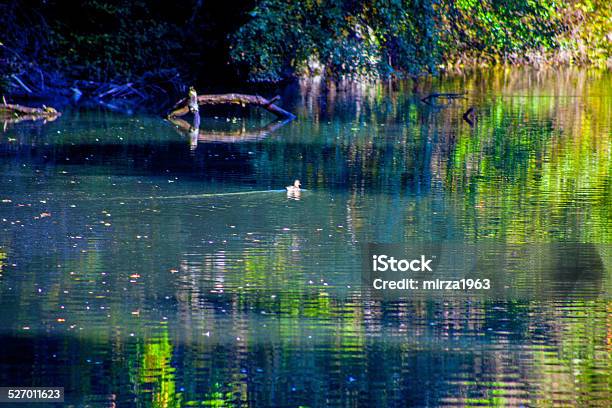 Central Park Stock Photo - Download Image Now - Apartment, Architecture, Autumn