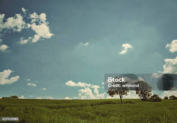 Trees In The Meadow Stock Photo - Download Image Now - Agricultural Field, Agriculture, Backgrounds