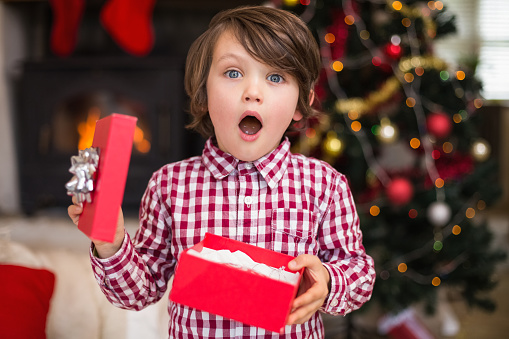 Surprised little boy holding a gift at home in the living room