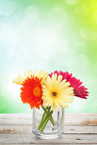 istock Colorful gerbera flowers on wooden table 527025983