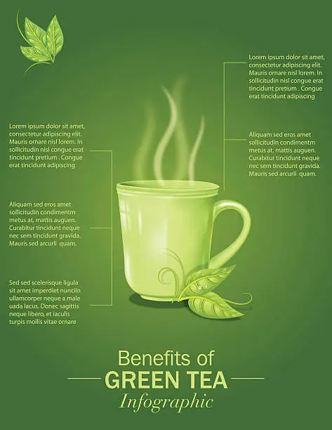 Vector illustration of Green Tea Infographic