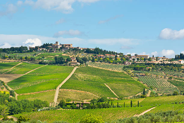 istock City in Tuscany 527028441