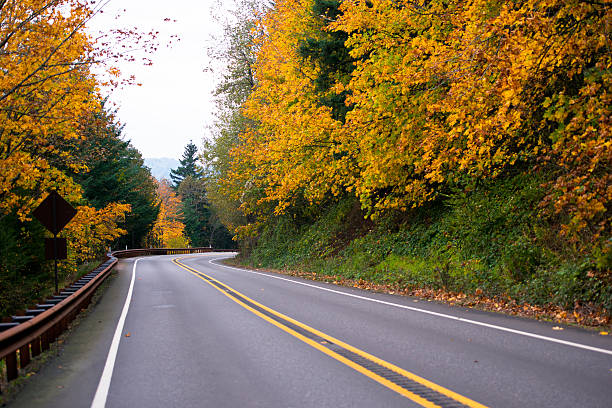 istock Spectacular winding road with yellow autumn trees 527030211