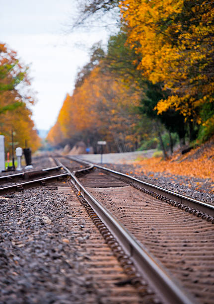 istock Rails leaving in beautiful yellow autumn 527030315