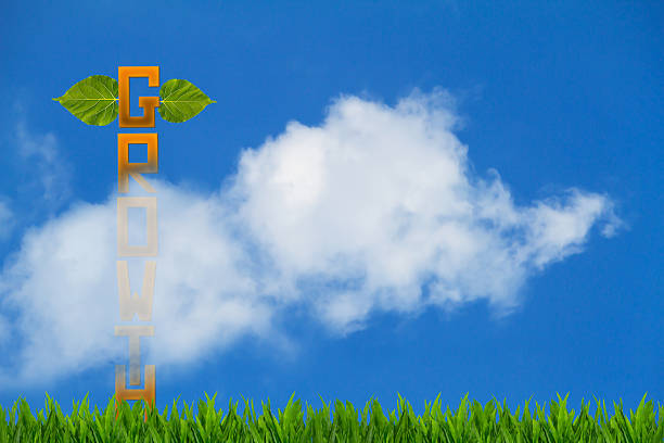 The word growth is on grass and upward to the sky with leaves on top on cloudy blue sky background, business  growth  concept