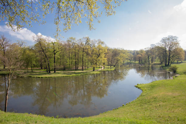 istock Park and Castle Bad Muskau 527033266