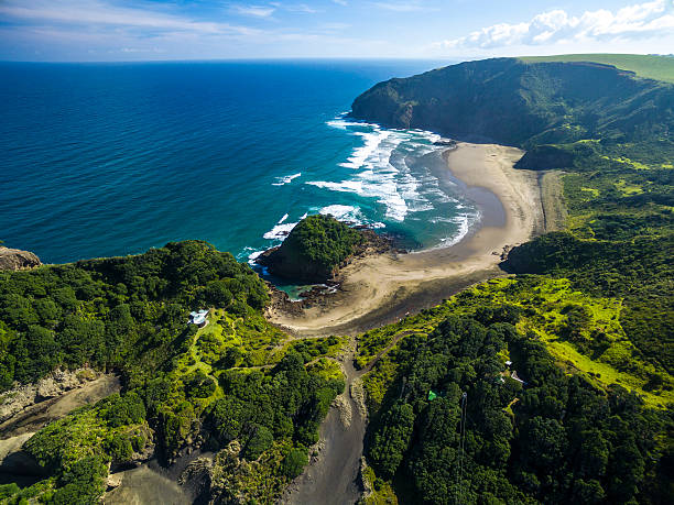 Bethells Beach Aerial view of Bethells Beach, Auckland / New Zealand tasman sea stock pictures, royalty-free photos & images