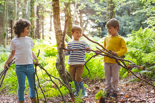 Three little boys gathering and carrying sticks and pieces of wood in a woodland area to build a camp.