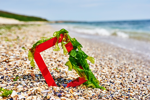 horizontal shot of red frame on the beach with sea weed on it.