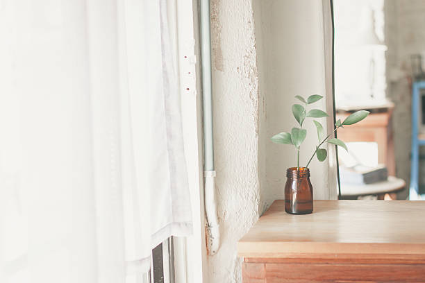 istock beautiful corner in minimal cafe 527037178
