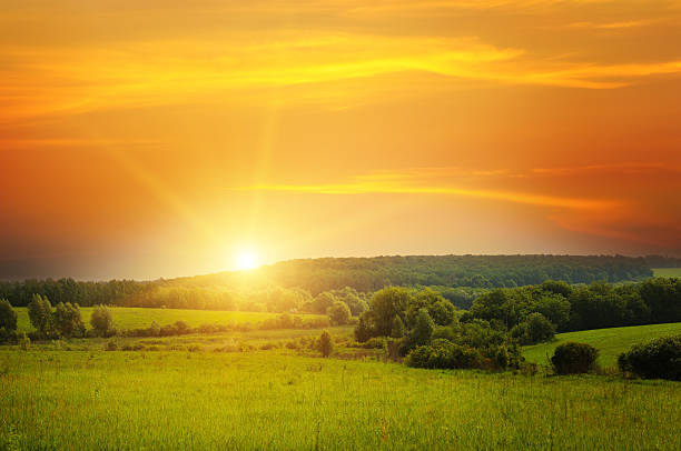 field, le lever du soleil et ciel bleu - grass sky cloudscape meadow photos et images de collection