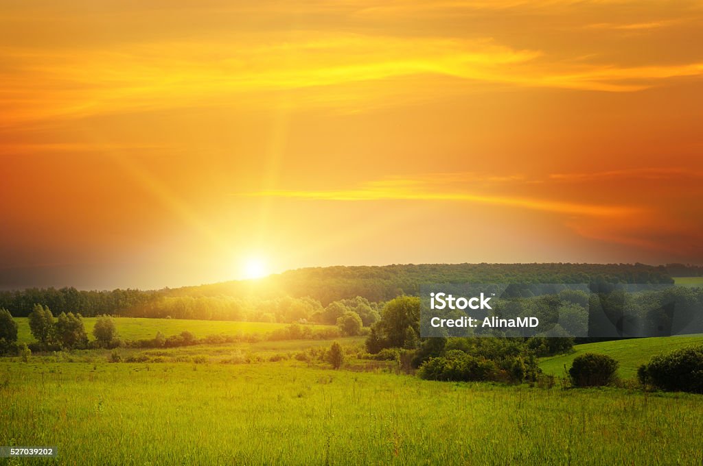 Campo, alba e blu cielo - Foto stock royalty-free di Aurora