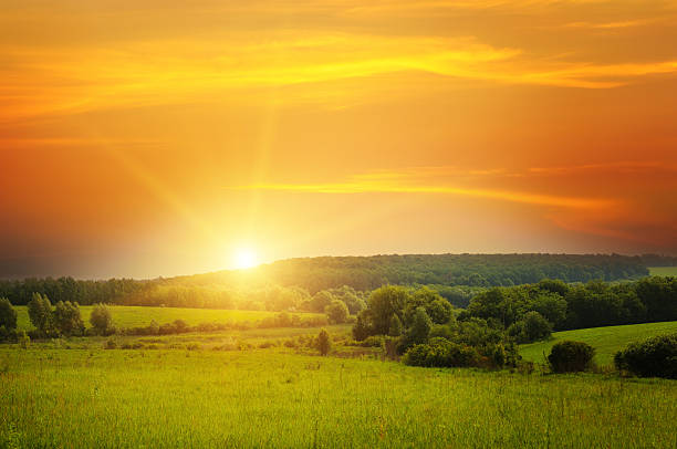 field, sunrise and blue sky - zonsopgang stockfoto's en -beelden