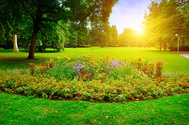 istock summer park with beautiful flowerbeds 527039660