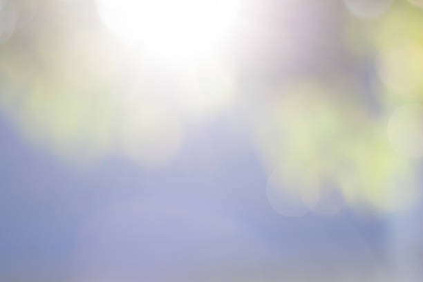 istock bokeh background of a tree with natural light 527040402