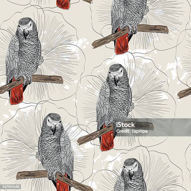 Parrot Pattern Body Parrot Seamless Pattern Stock Illustration - Download Image Now - Gray ...
